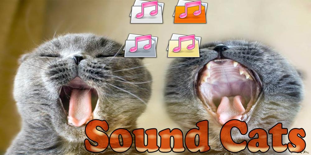 Sound Cats Prank