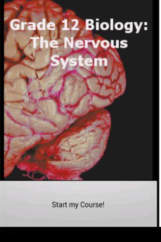 Grade 12 Biology: Nervous Sys