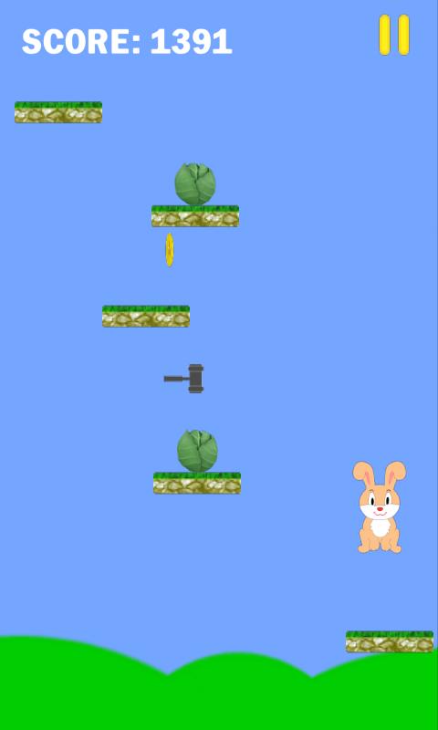 Rabbit Jump