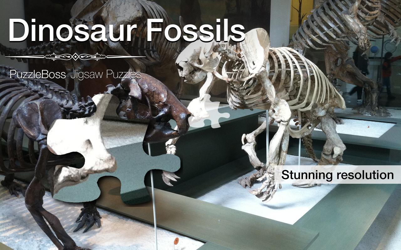 Dinosaur Fossil Jigsaws Demo