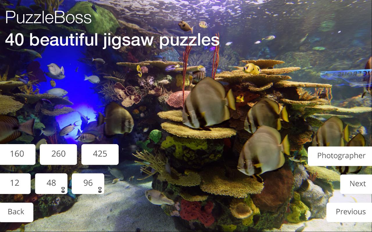 Jigsaw Puzzles: Aquarium Fish