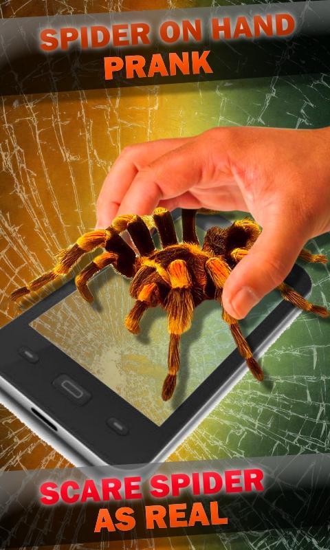 Spider on Hand. Camera Prank