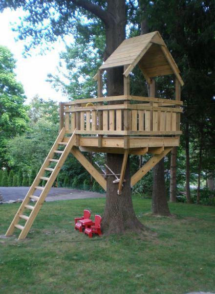 Tree House Design