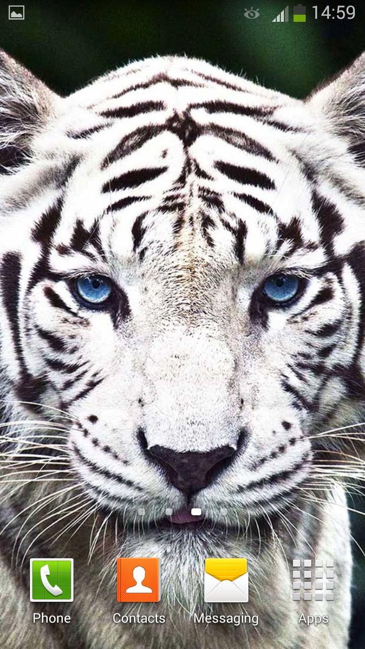 White Tiger Live Wallpaper