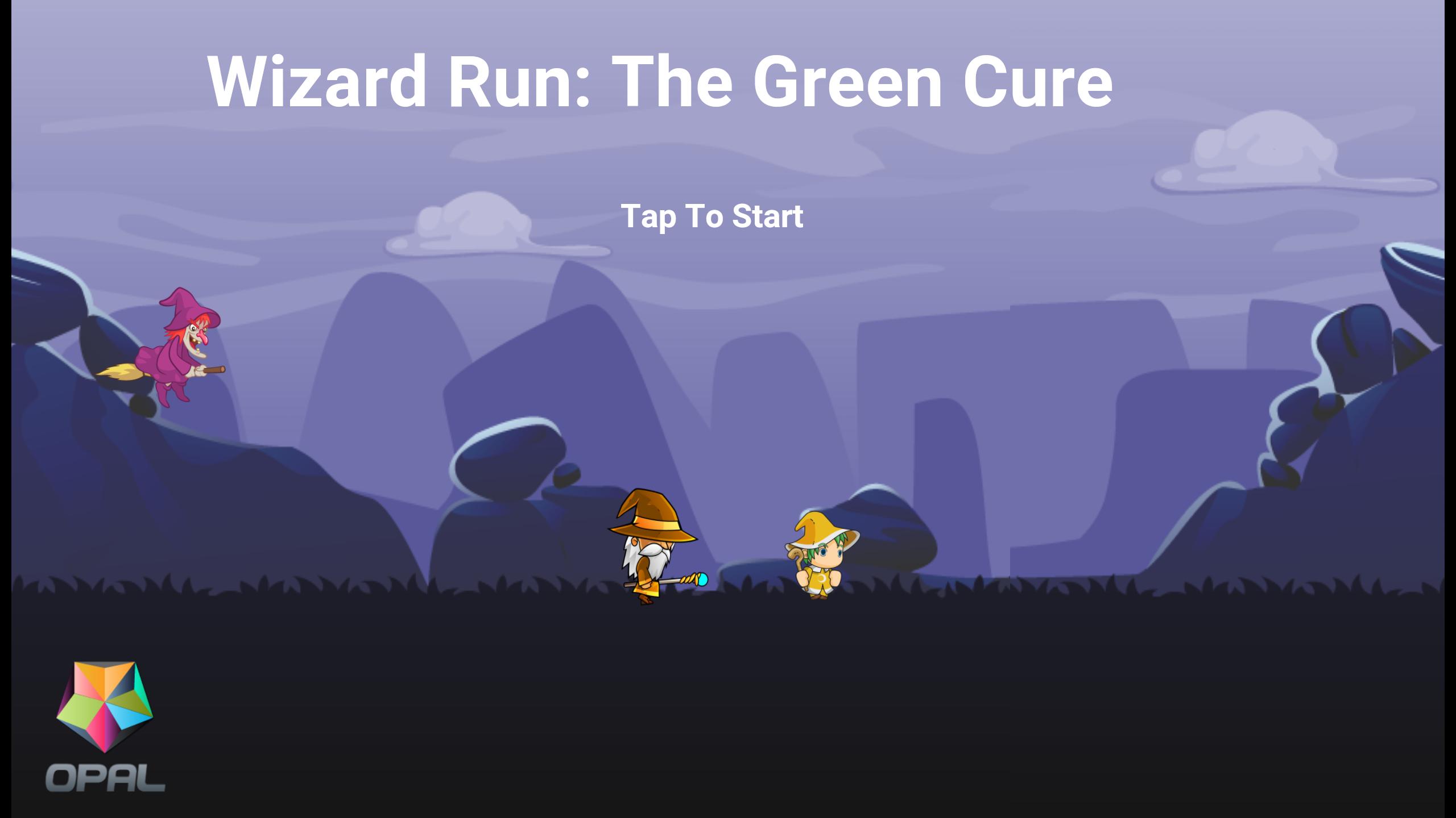 Wizard Run Adventure