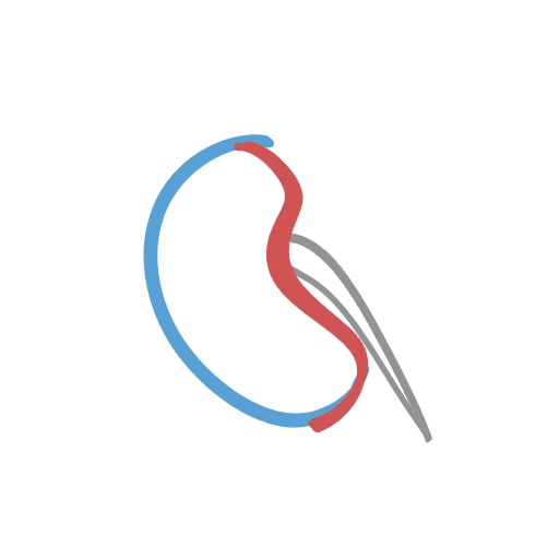 Dialysis Pro