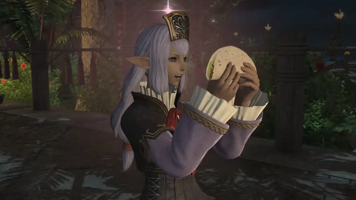 Ffxiv: Echoes of Vana'diel membuat saya nostalgia & saya bahkan tidak bermain ffxi