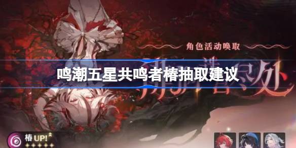 鸣潮五星共鸣者椿要不要抽