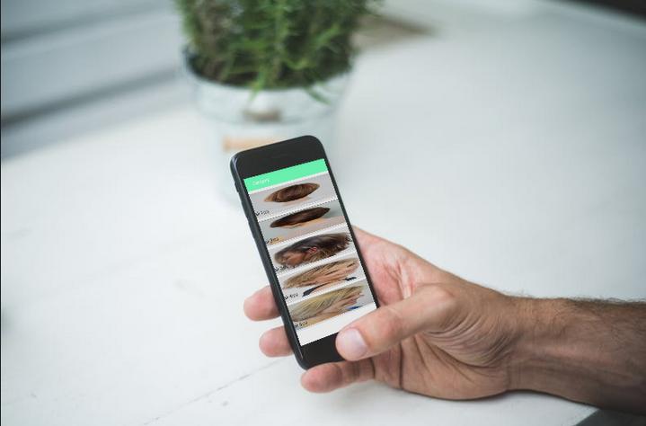 Short Hairstyle for Women