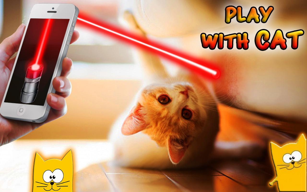 Laser for cats - Prank